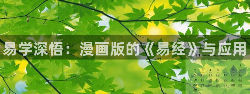 聚合漫画屋无根之树：易学深悟：漫画版的《易经》与应用