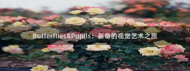 漫画屋在线：Butterflies&Pupils：新奇的视觉艺术之旅