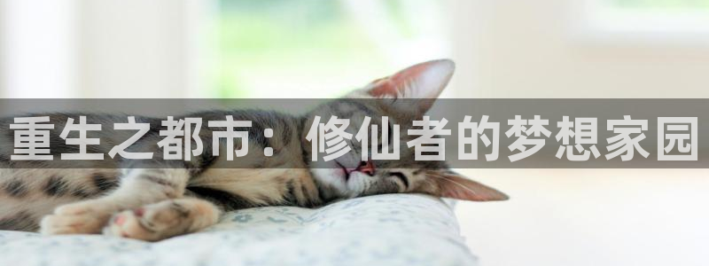 聚合漫画屋网页版：重生之都市：修仙者的梦想家园