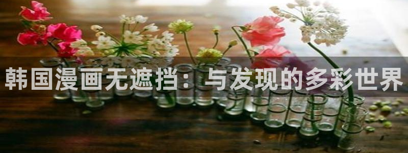 漫画屋屋：韩国漫画无遮挡：与发现的多彩世界