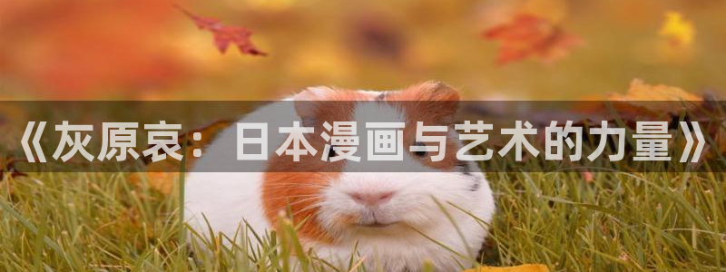 羞羞漫画屋：《灰原哀：日本漫画与艺术的力量》